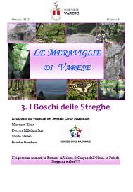 Il Bosco delle Streghe